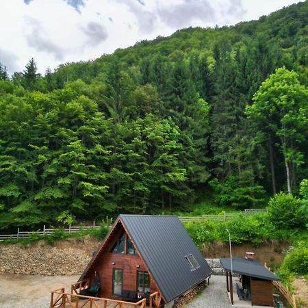 Wild Cabin 马拉亚 外观 照片