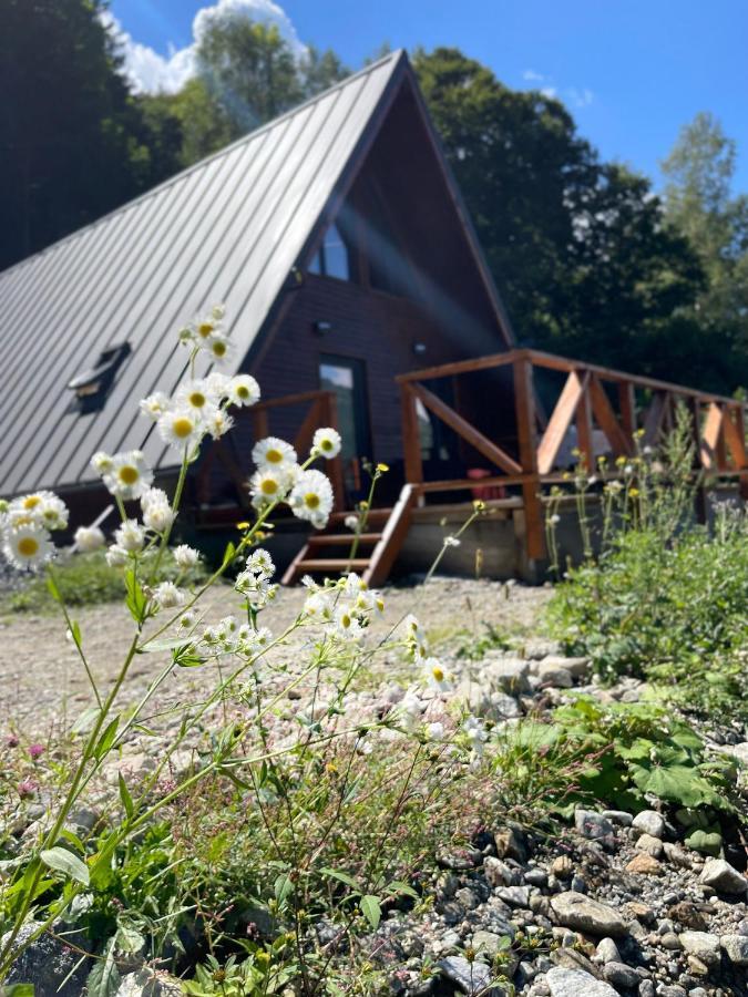 Wild Cabin 马拉亚 外观 照片